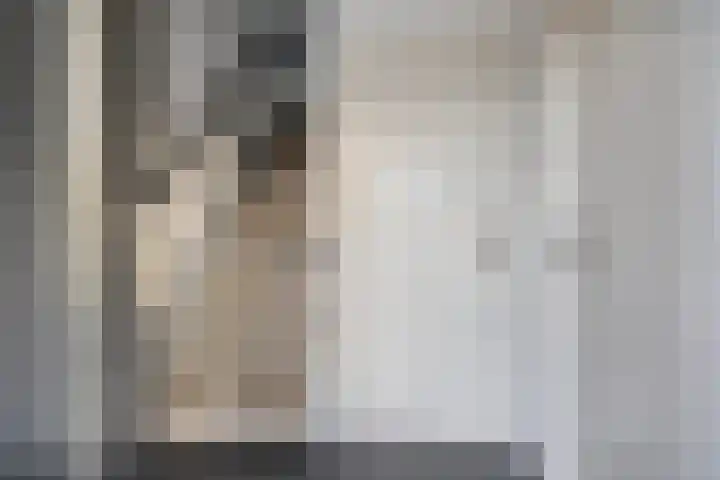 Pippelingstraat 33 Eindhoven thumbnail 4