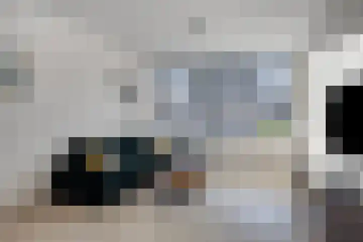Pippelingstraat 33 Eindhoven thumbnail 5