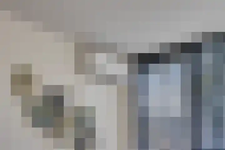 Pippelingstraat 33 Eindhoven thumbnail 7