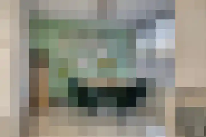 Pippelingstraat 33 Eindhoven thumbnail 9