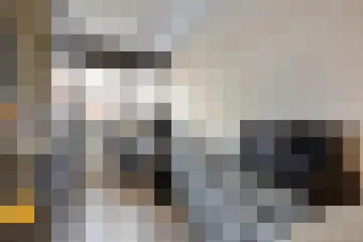 Piramide 32 Dordrecht thumbnail 33
