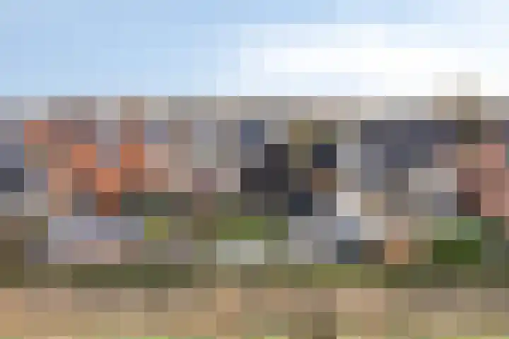 Piramide 32 Dordrecht thumbnail 52