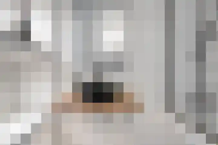 Pistoletdreef 9 Cuijk thumbnail 28