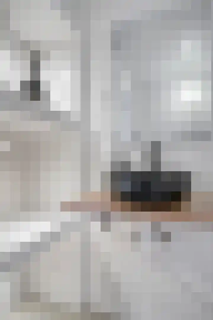 Pistoletdreef 9 Cuijk thumbnail 30