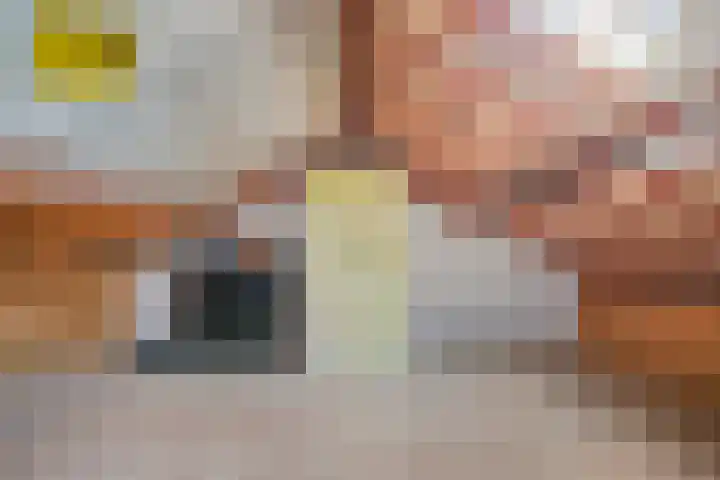 Pistoletdreef 9 Cuijk thumbnail 31