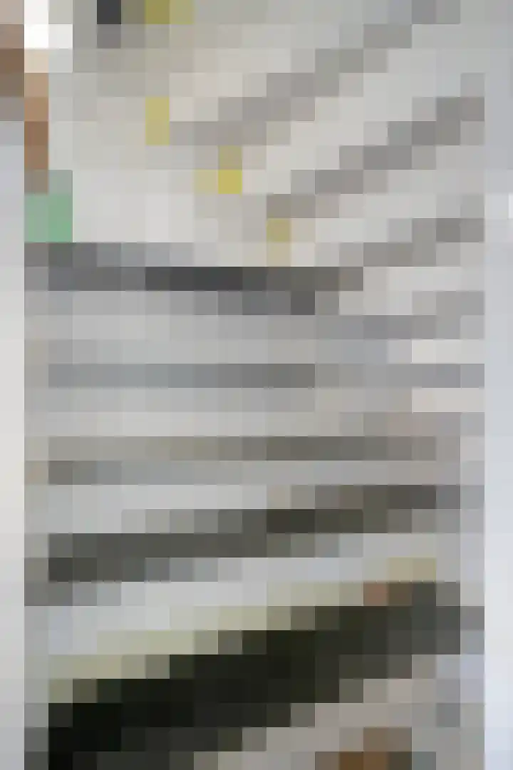 Pistoletdreef 9 Cuijk thumbnail 9