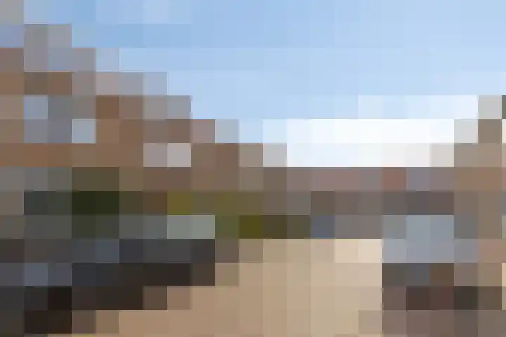 Kantoor foto van Pit makelaars