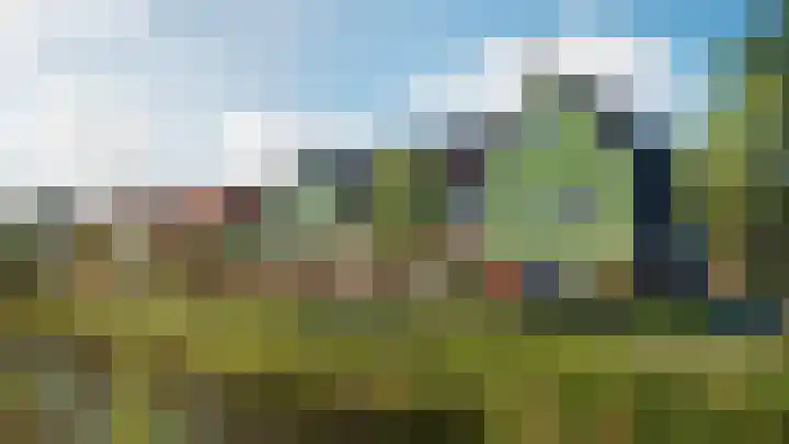 Pitrus 128 Assendelft foto 2