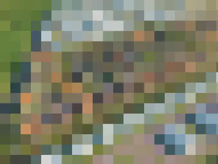 Pitrus 128 Assendelft thumbnail 6