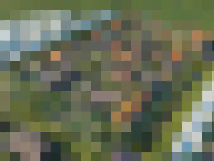 Pitrus 128 Assendelft thumbnail 7