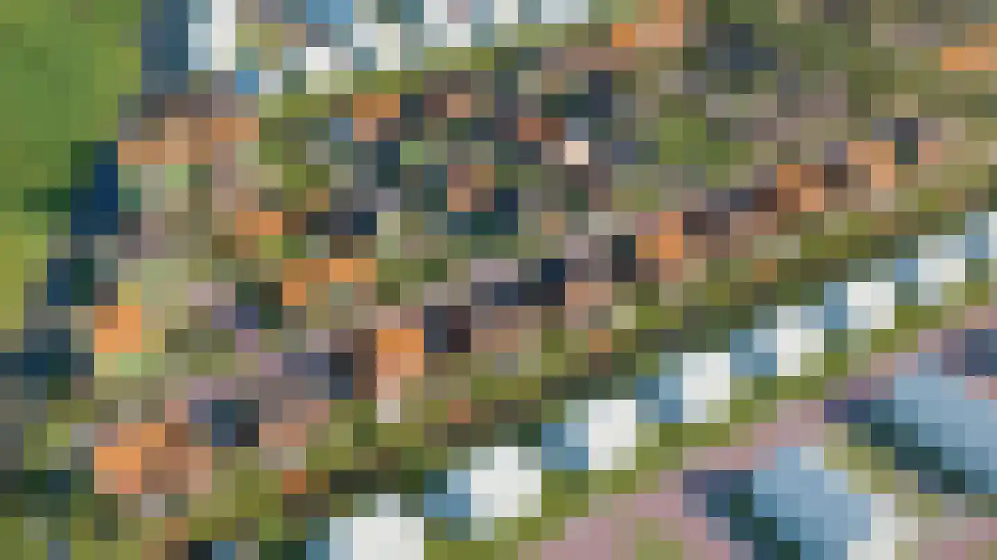 Pitrus 39 Assendelft thumbnail 6