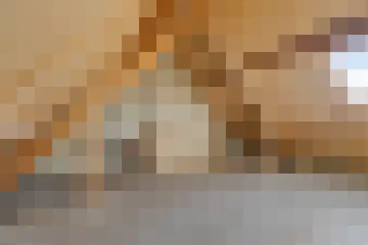 Pitrus 7 Malden thumbnail 23