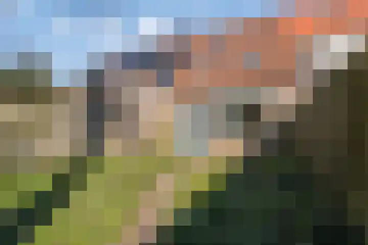 Pitrus 7 Malden thumbnail 25