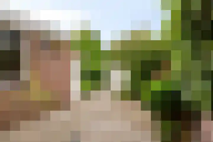 Pitrus 71 Malden thumbnail 22