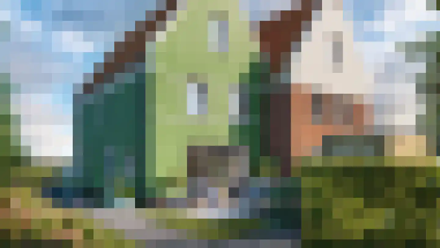 Pitrus 74 Assendelft thumbnail 5