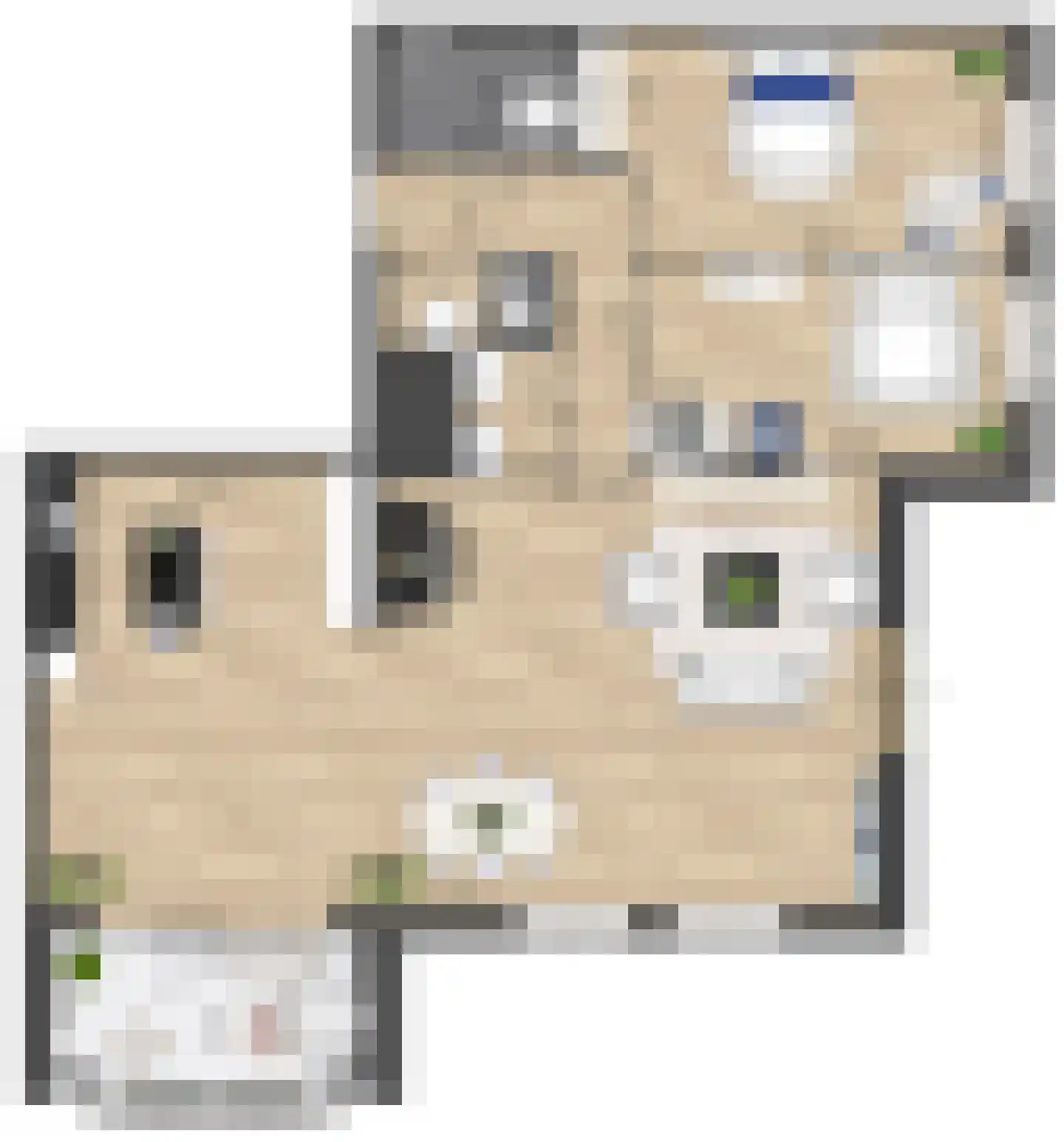Pitrus 86 Assendelft thumbnail 11