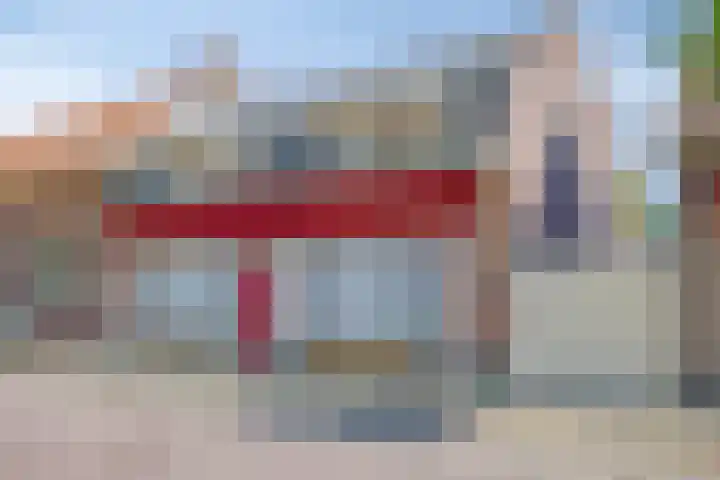 Pitrus 86 Assendelft thumbnail 13