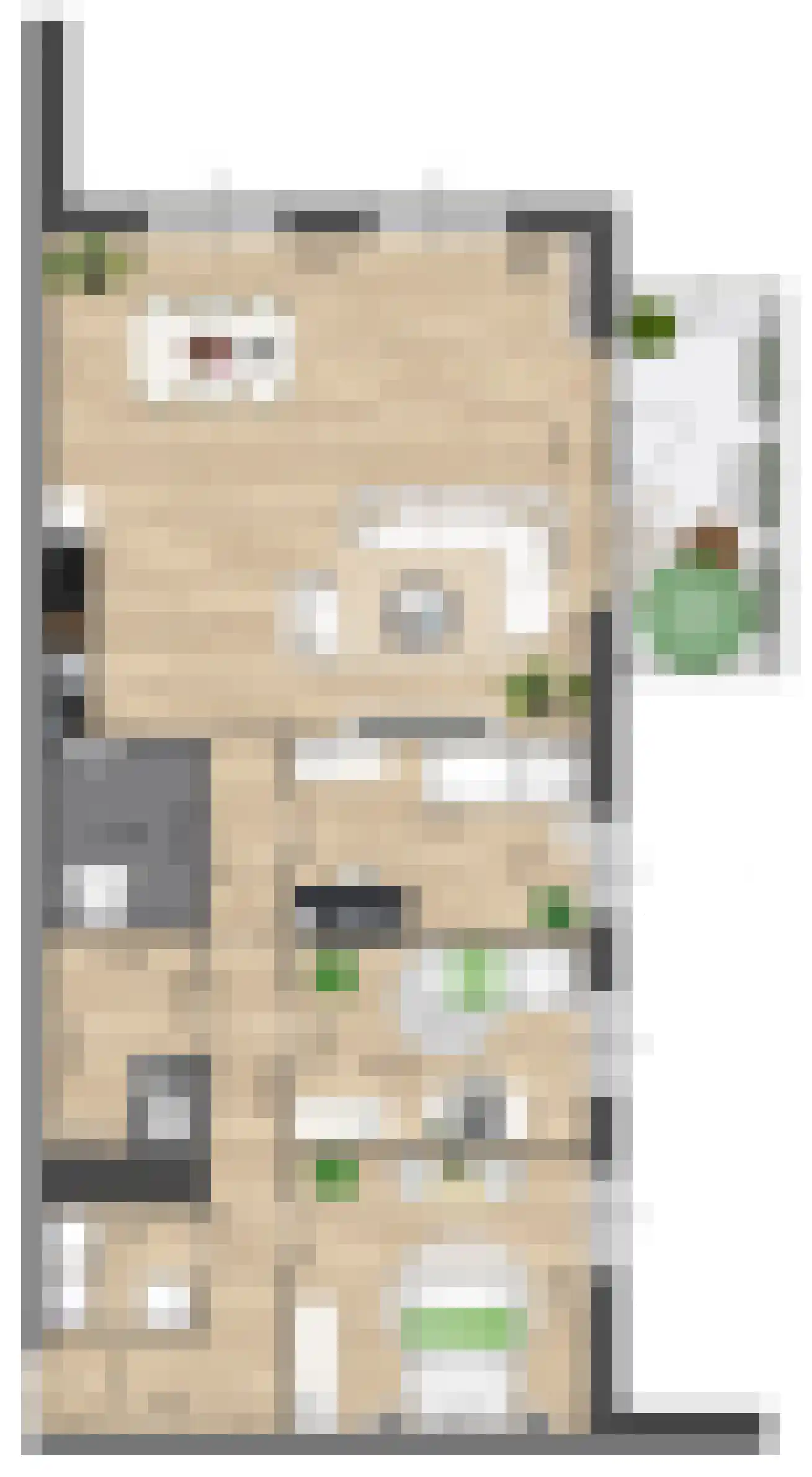 Pitrus 86 Assendelft thumbnail 13