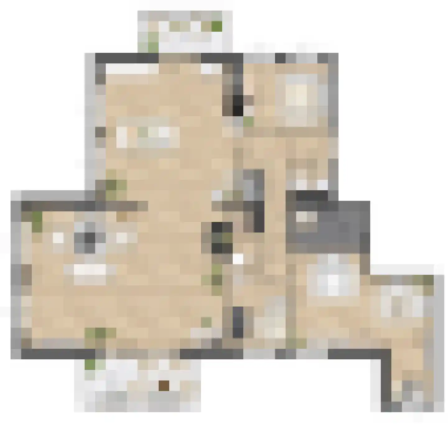 Pitrus 86 Assendelft thumbnail 16