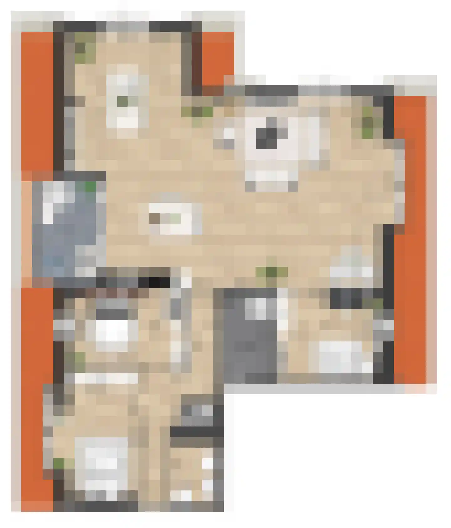 Pitrus 86 Assendelft thumbnail 19