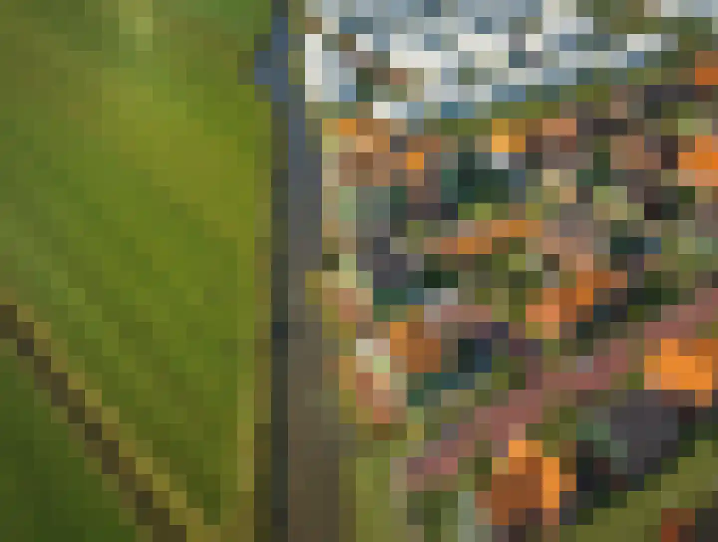 Pitrus 86 Assendelft thumbnail 5