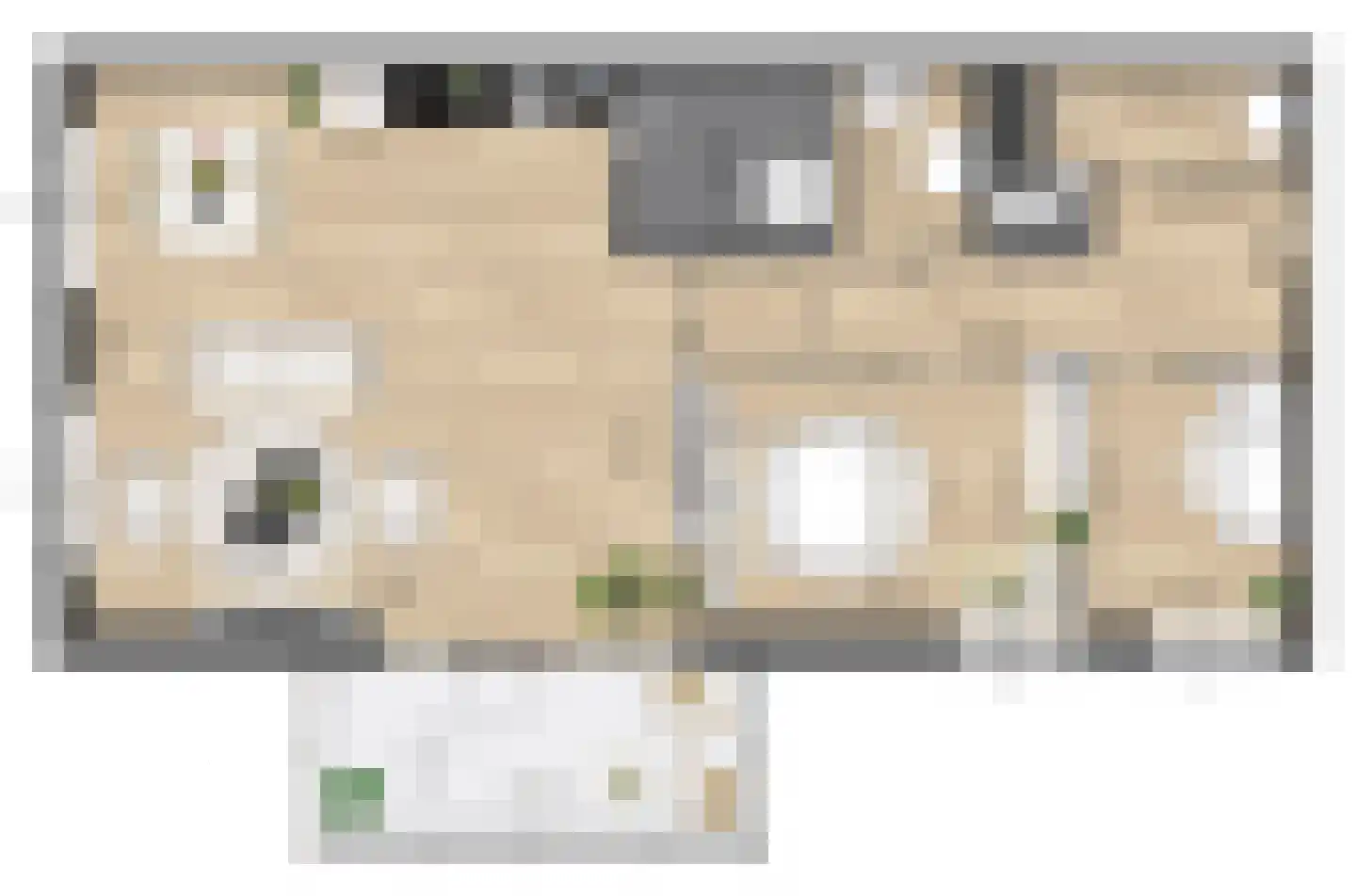 Pitrus 86 Assendelft thumbnail 8