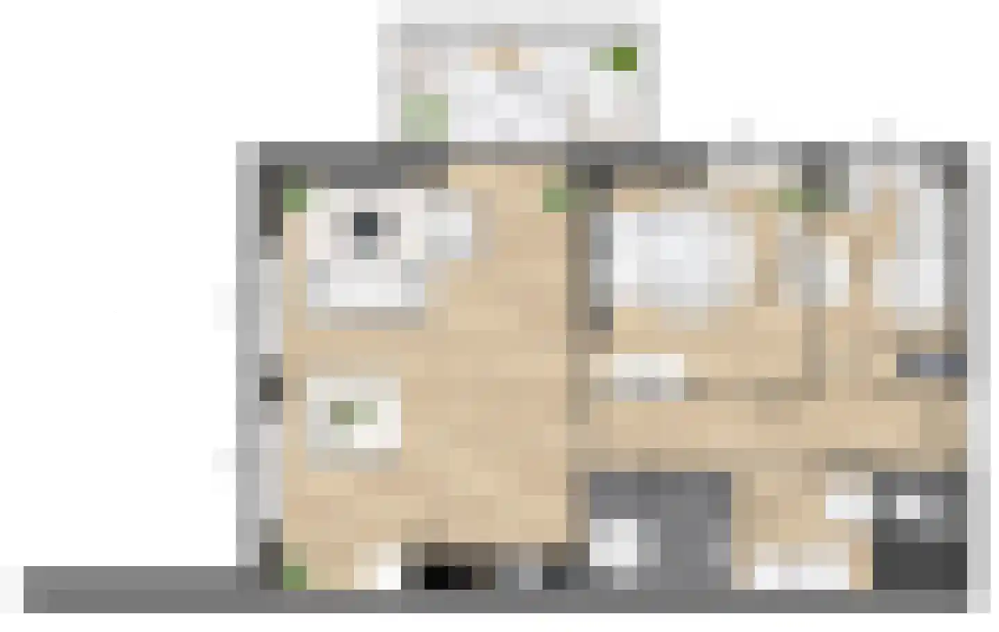 Pitrus 86 Assendelft thumbnail 9