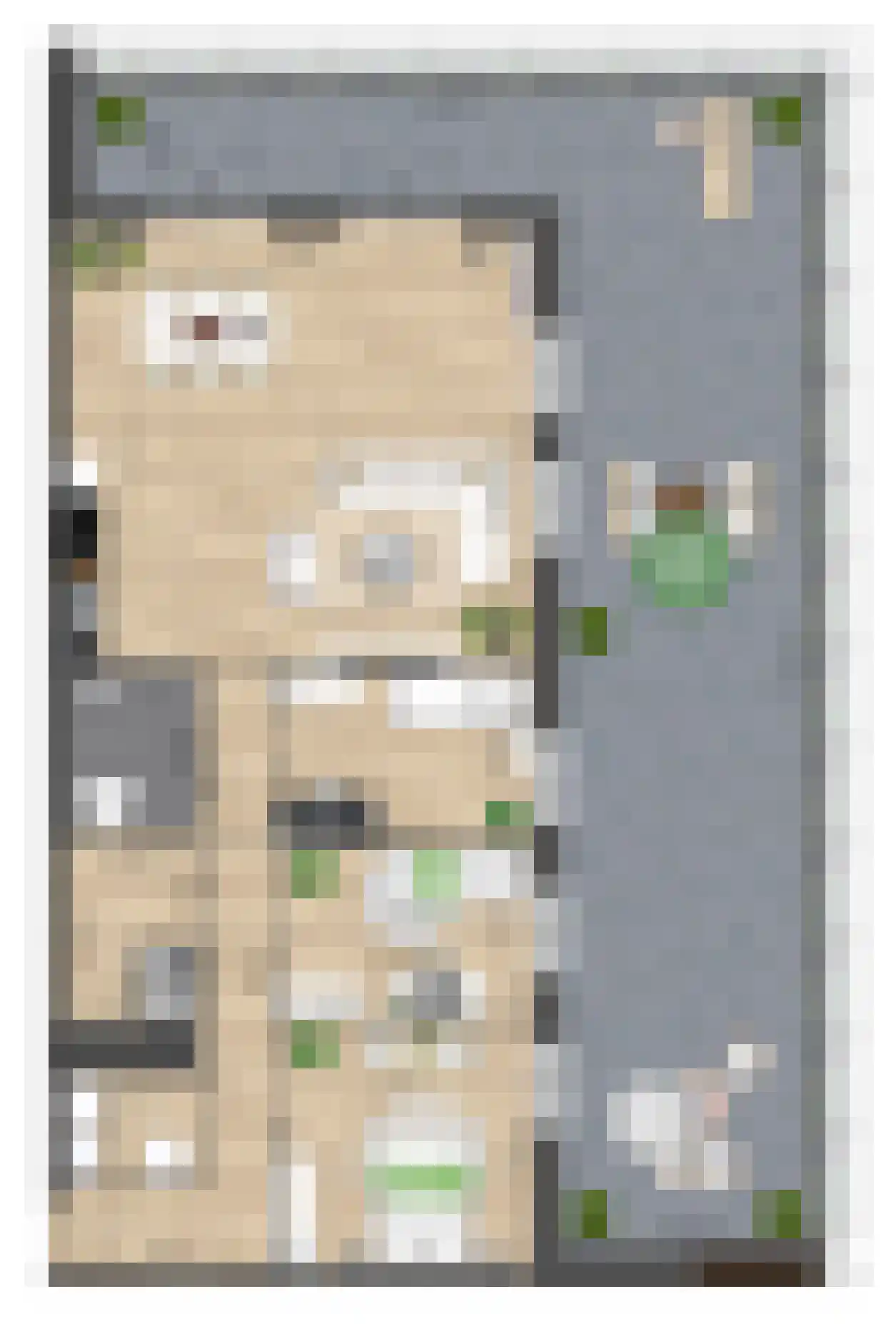 Pitrus 94 Assendelft thumbnail 11