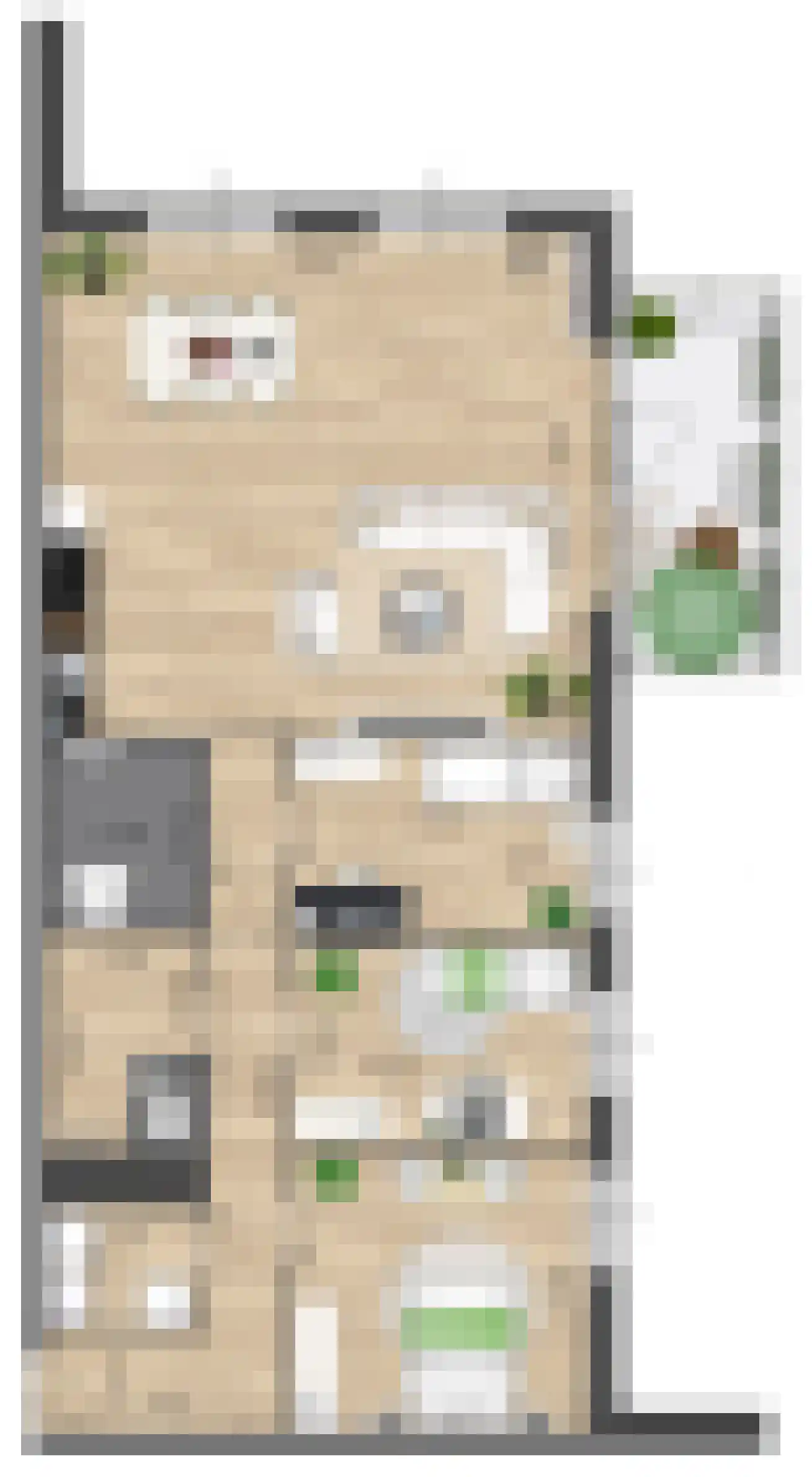 Pitrus 94 Assendelft thumbnail 6