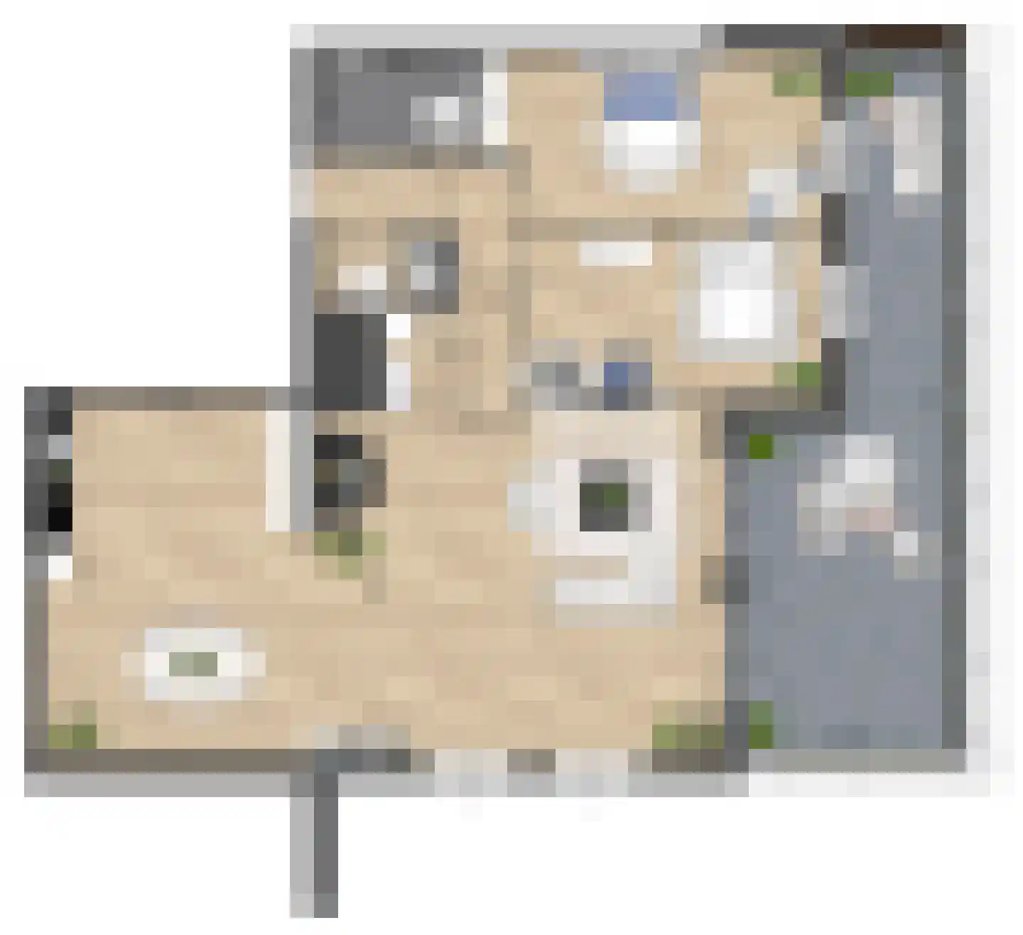 Pitrus 94 Assendelft thumbnail 9