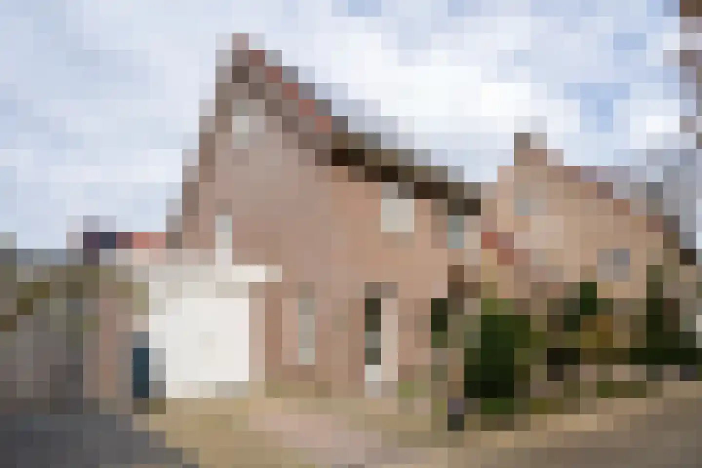 Pitruslaan 31 dans Enschede