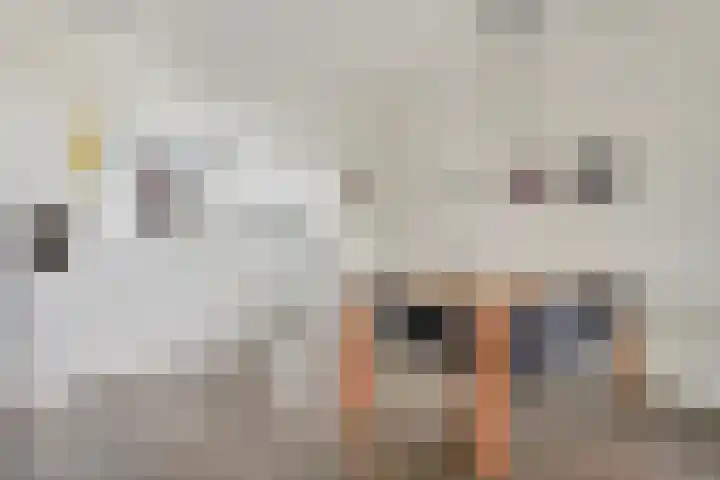Piushaven 4 01 Tilburg thumbnail 12
