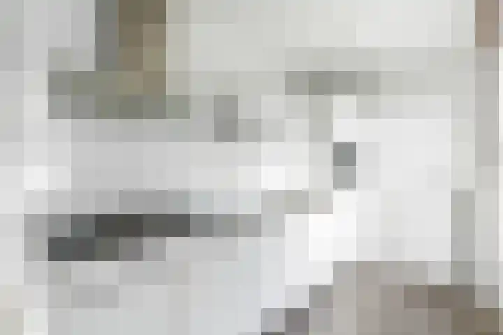 Piuslaan 105 Eindhoven thumbnail 10