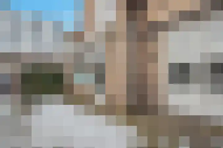 Piuslaan 105 Eindhoven thumbnail 19