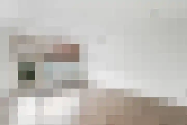 Piuslaan 105 Eindhoven thumbnail 7