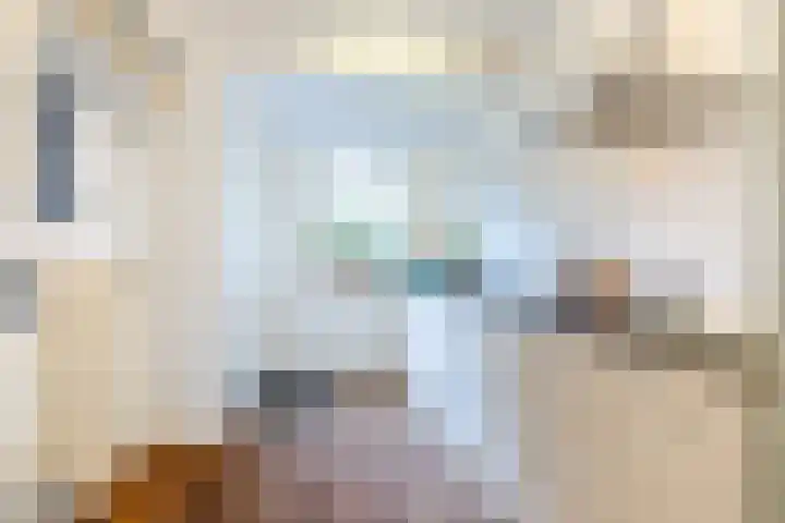 Piuslaan 46 Eindhoven thumbnail 17