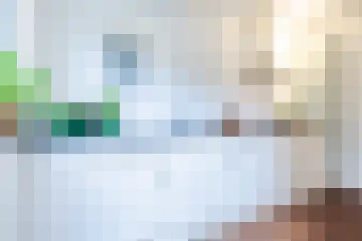 Piuslaan 46 Eindhoven thumbnail 18