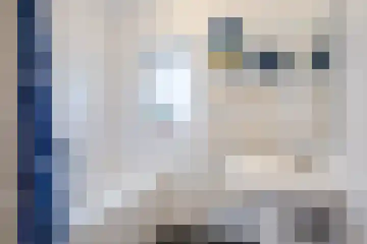 Piuslaan 46 Eindhoven thumbnail 28