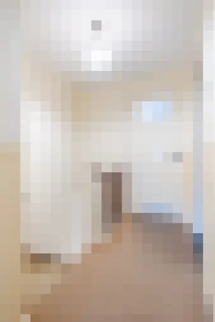 Piuslaan 46 Eindhoven thumbnail 38