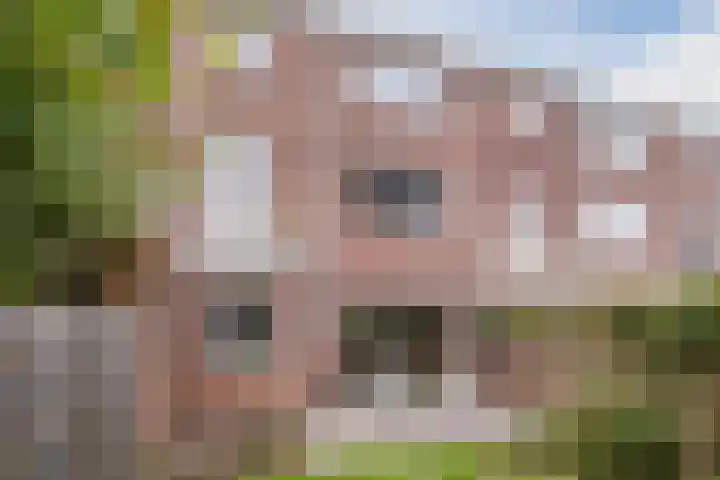Piuslaan 46 Eindhoven thumbnail 42