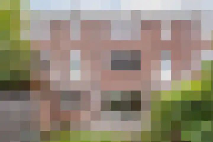 Piuslaan 46 Eindhoven thumbnail 43