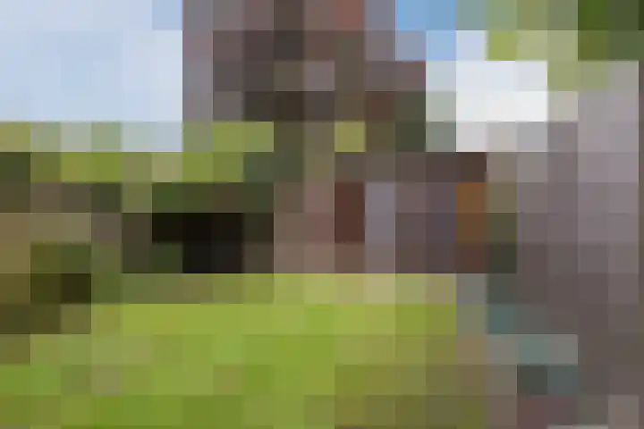 Piuslaan 46 Eindhoven thumbnail 6
