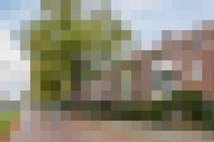Piuslaan 46 Eindhoven thumbnail 7