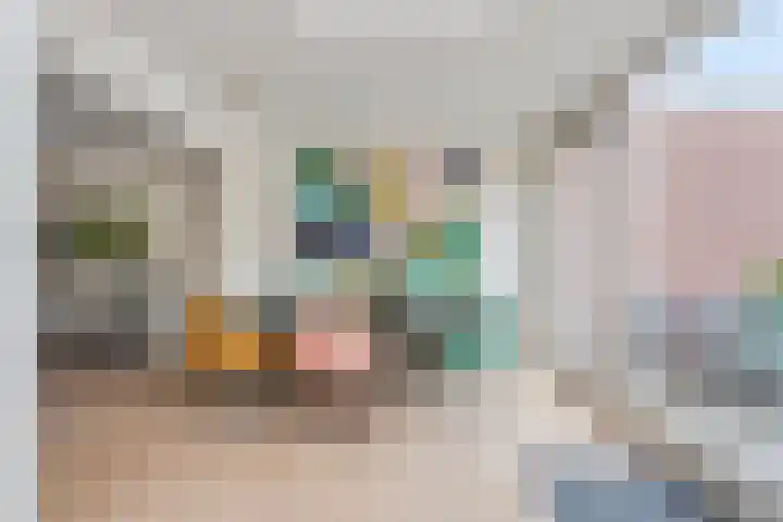 Piuslaan 56 Eindhoven thumbnail 10