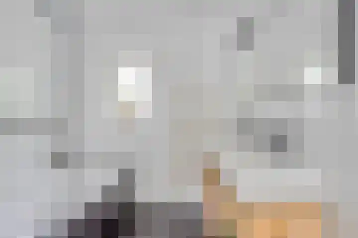 Piuslaan 56 Eindhoven thumbnail 16