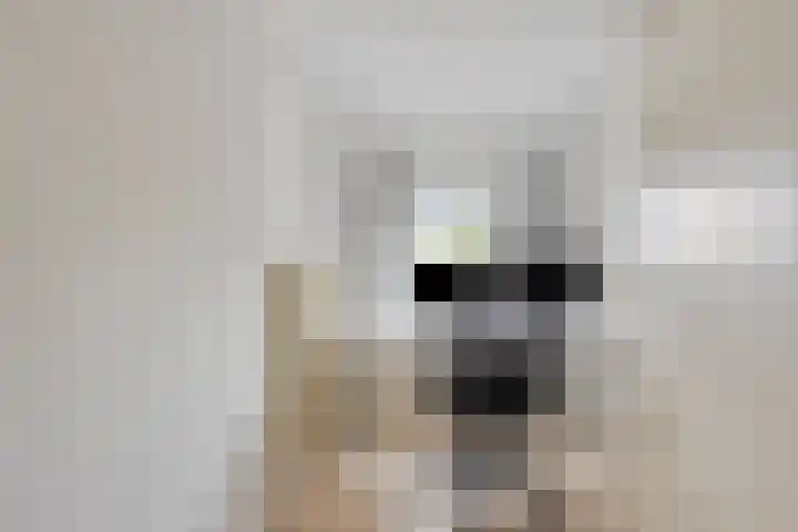 Piuslaan 56 Eindhoven thumbnail 30