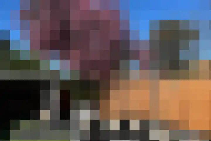 Piuslaan 56 Eindhoven thumbnail 37