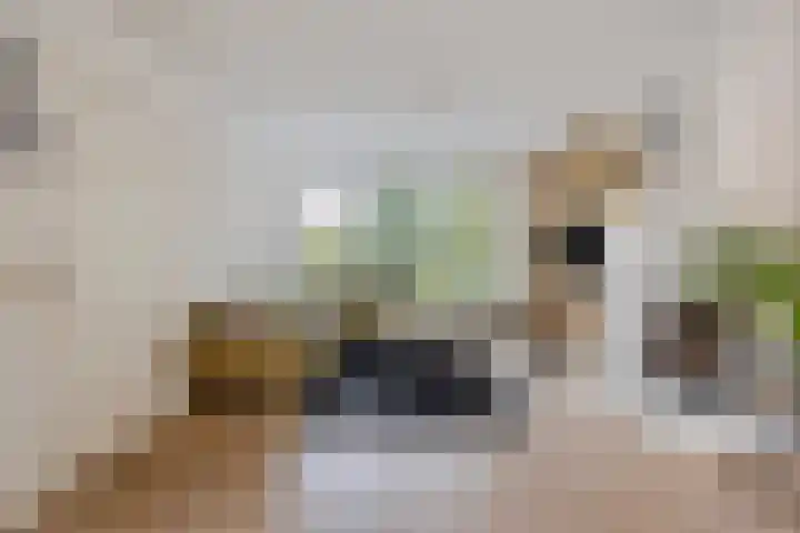 Piuslaan 56 Eindhoven thumbnail 6