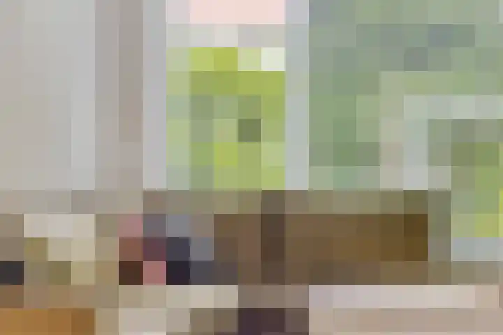 Piuslaan 56 Eindhoven thumbnail 7