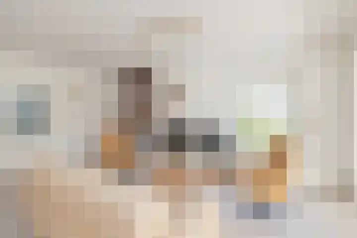 Piustuin 22 Lisse thumbnail 10